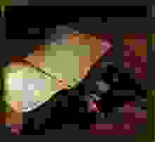 39a27618f1dc54b80987c6706135e6b7_XS