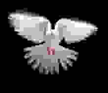 45e8f4939bc3bd36e4b87ab1e324d227_XS