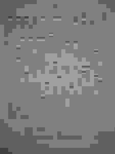 12289770_10207956702906288_8522751167114349771_n