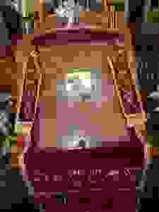 DSCN6769