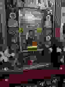 DSCN6772