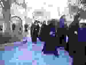 DSCN6349