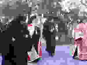 DSCN6354