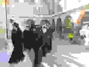 DSCN6356