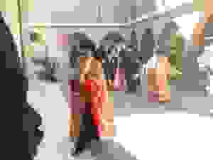DSCN6359