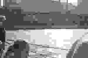 DSC001541