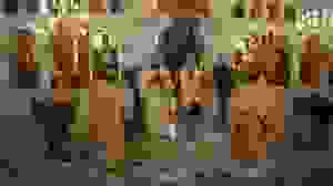 e3f6253d-d5cf-4f79-b970-b801649a653f