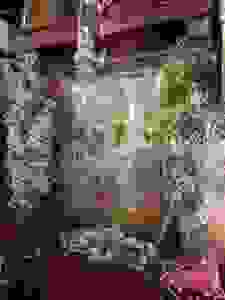 DSCN8473