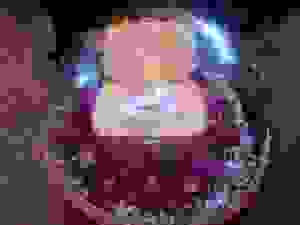 DSCN8887