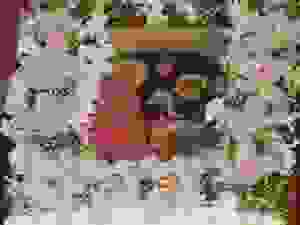 03-DSCN9747
