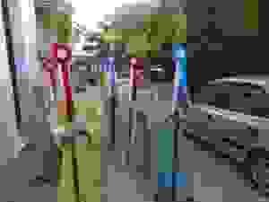 110-DSC07038