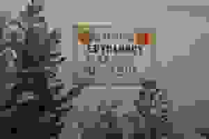 13307272_1730174393906840_4224712380569176699_n