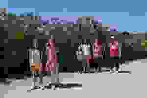 13315638_1730173680573578_4368668558397056577_n