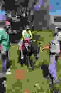 13331078_1730173013906978_8752930017644270673_n