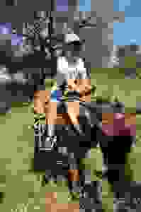 13346772_1730173077240305_2837744910003059761_n