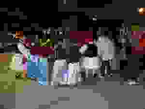 25-DSC07070
