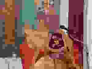 39-DSCN9807