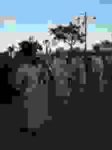 10-DSC07416