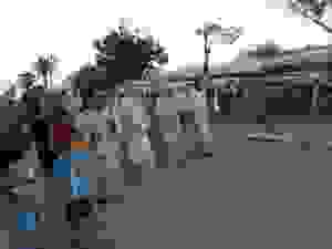11-DSC07415