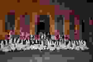 13413168_253805594987845_4894666583665742314_n