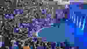 13413618_253806654987739_6741887506289212005_n