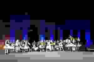 13419169_253804838321254_4668936013474880379_n