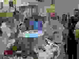 33-DSC07381