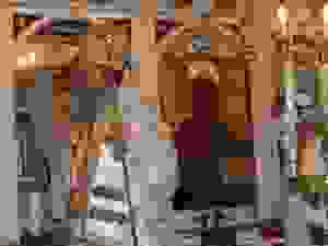 DSCN0001