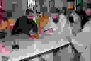 DSC_8865