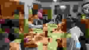 image-0.02.01.66e06fb836066a8373ee2656f1445fbb19186c0dd1ed3b9574c6d207770748c3-V