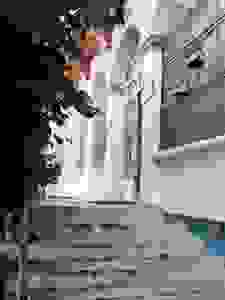 13510964_10201865977169156_1006500256988015494_n