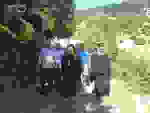 20160727_103345