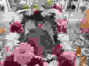 DSCN0201