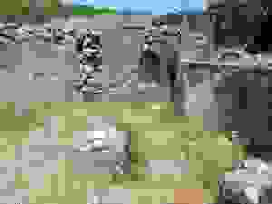 DSCN7897