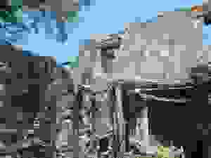 DSCN7905