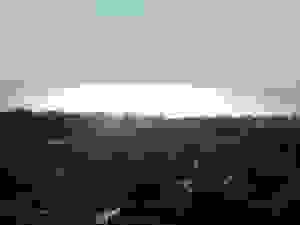 DSCN8549