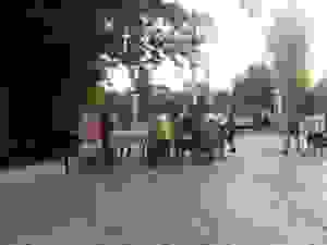 13872796_283447215357937_4892275823665069239_n
