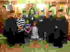 DSC03158