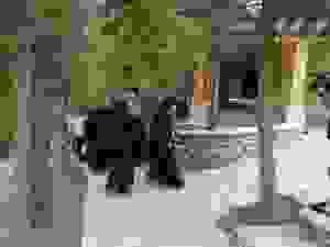 DSC03785