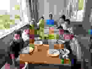 DSC03832