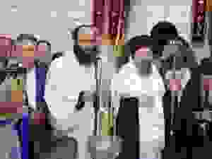 DSC03977