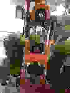 dscn8059
