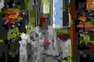 dsc_1410