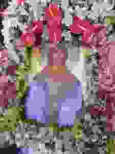 dscn8231