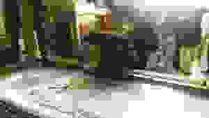image-0-02-05-03414b263a1dfd796462cbb8da492d4f21651aef4e0a9a102125d4a8baa2d03d-v
