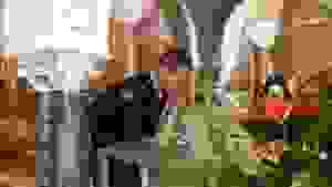 image-0-02-05-43b6a6af34a86020f7354eb22b21399e71c510fc53521f2cbd9be7de08a7d44b-v