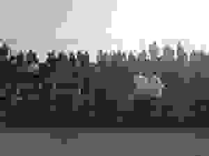 image-0-02-05-549069b677b50be99d55ff9439dc4165612a4eb27a26d23547d052034aa5ebcd-v