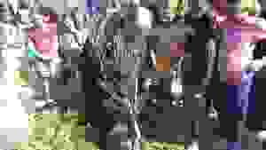 image-0-02-05-73eabe7f65378acbd7ff161aabe4cbca0feaa55d99fbd64e4f94b1ca2e509a72-v