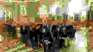 image-0-02-05-d05e4e10a2c2e1d916331f2a71f8f24d2c51255748d9b72cd855a31ec301a3e0-v
