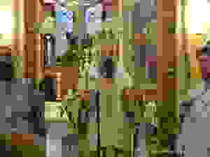 dsc04869